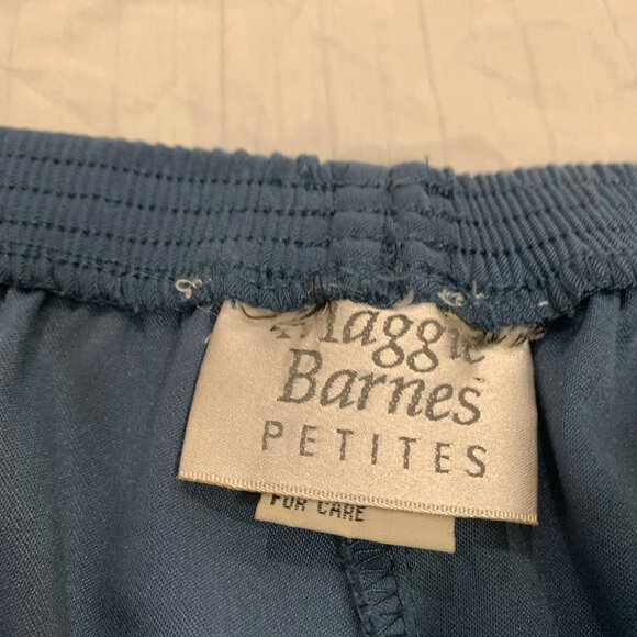 ๐ฆ MAGGIE BARNES WOMENS PANTS SIZE 24WP PETITE ๐ฆ - Picture 3 of 6